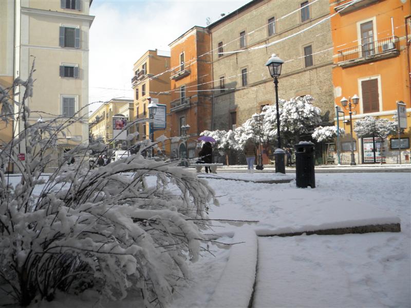 11 febbraio 2012 076 (Medium).jpg