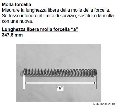 molla-forcella.jpg