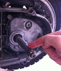 foto 2.gif
