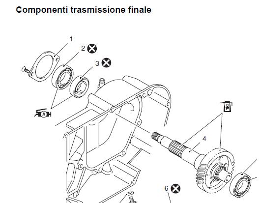 trasmissione.JPG