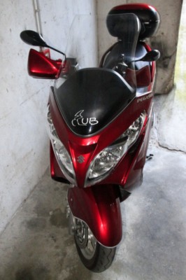 Burgman_2010 (5) [frontale].JPG