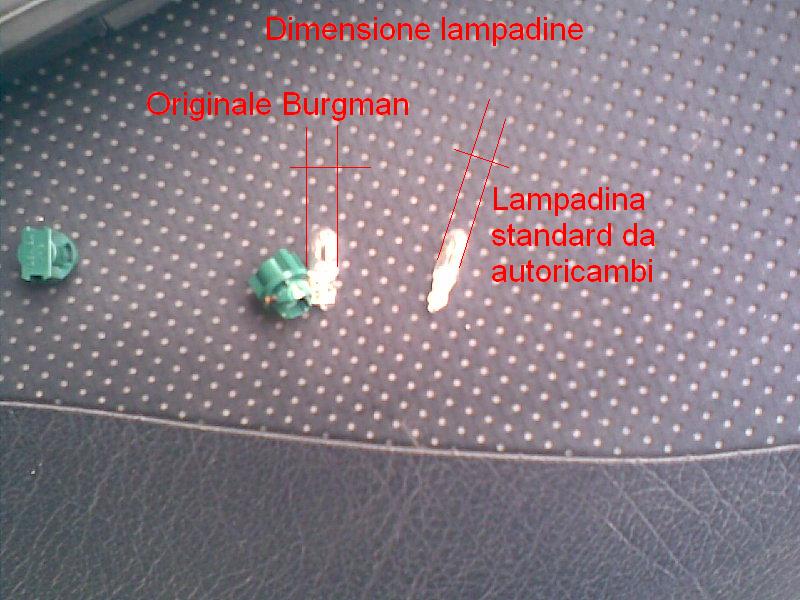 lampadine.JPG