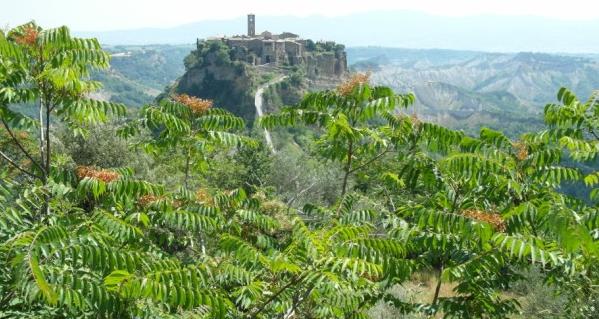 bagnoregio_01.jpg